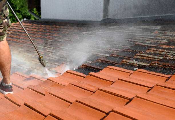 Best Residential Pressure Washing Services  in Watauga, TX