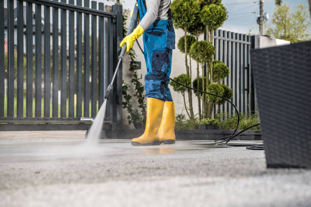 Best Roof Pressure Washing  in Watauga, TX